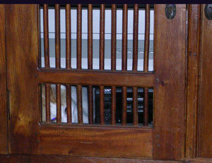 thunder in cage